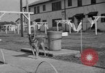 Image American School Tokyo Japon, 1952, de la seconde 61 séquences d'archives historiques vidéo 65675045192
