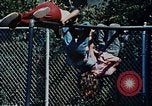 Immagine di Prevenzione di colza United States USA, 1978, secondo 48 filmato di repertorio 65675045207