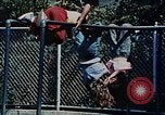 Immagine di Prevenzione di colza United States USA, 1978, secondo 50 filmato di repertorio 65675045207