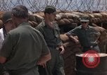 Immagine di United States Air Force personale Il Vietnam, 1965, secondo 26 filmato di repertorio 65675045220