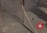 Immagine di Pulire la zona Il Vietnam, 1965, secondo 21 filmato di repertorio 65675045225