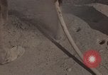 Immagine di Pulire la zona Il Vietnam, 1965, secondo 23 filmato di repertorio 65675045225