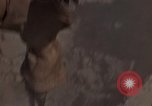 Immagine di Pulire la zona Il Vietnam, 1965, secondo 25 filmato di repertorio 65675045225