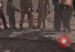 Immagine di Pulire la zona Il Vietnam, 1965, secondo 37 filmato di repertorio 65675045225