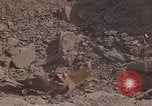 Immagine di Pulire la zona Il Vietnam, 1965, secondo 40 filmato di repertorio 65675045225