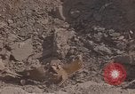 Immagine di Pulire la zona Il Vietnam, 1965, secondo 41 filmato di repertorio 65675045225