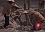 Immagine di Pulire la zona Il Vietnam, 1965, secondo 55 filmato di repertorio 65675045225