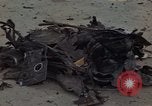 Image of clean up area Vietnam, 1965, second 22 stock footage video 65675045227