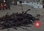Image of clean up area Vietnam, 1965, second 36 stock footage video 65675045227