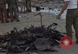 Image of clean up area Vietnam, 1965, second 39 stock footage video 65675045227