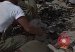 Image of clean up Vietnam, 1965, second 35 stock footage video 65675045228