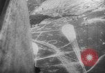 Image of parachute jumpers Moscow Russia Soviet Union, 1934, second 36 stock footage video 65675045241