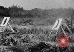 Standbild strafing Praxis Chapman Field Florida USA, 1934, aus Sekunde 43 historischem Filmmaterial Videoclip 65675045248