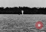 Standbild strafing Praxis Chapman Field Florida USA, 1934, aus Sekunde 61 historischem Filmmaterial Videoclip 65675045248