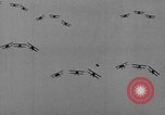 Standbild National Air Races Cleveland Ohio USA, 1934, aus Sekunde 18 historischem Filmmaterial Videoclip 65675045249