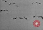 Standbild National Air Races Cleveland Ohio USA, 1934, aus Sekunde 19 historischem Filmmaterial Videoclip 65675045249