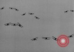 Standbild National Air Races Cleveland Ohio USA, 1934, aus Sekunde 20 historischem Filmmaterial Videoclip 65675045249