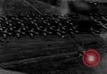 Immagine di C-47 piani di traino e Allied alianti durante l invasione della Normandia Francia, 1944, secondo 1 filmato di repertorio 65675045255