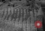 Immagine di Prigionieri tedeschi Portland Inghilterra, 1944, secondo 62 filmato di repertorio 65675045263