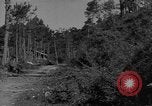 Image soldats des États-Unis Baguio aux Philippines, 1945, de la seconde 30 séquences d'archives historiques vidéo 65675045278