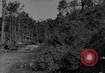 Image soldats des États-Unis Baguio aux Philippines, 1945, de la seconde 32 séquences d'archives historiques vidéo 65675045278