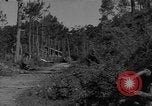 Image soldats des États-Unis Baguio aux Philippines, 1945, de la seconde 35 séquences d'archives historiques vidéo 65675045278