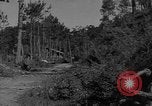 Image soldats des États-Unis Baguio aux Philippines, 1945, de la seconde 38 séquences d'archives historiques vidéo 65675045278