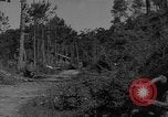 Image soldats des États-Unis Baguio aux Philippines, 1945, de la seconde 39 séquences d'archives historiques vidéo 65675045278