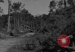 Image soldats des États-Unis Baguio aux Philippines, 1945, de la seconde 41 séquences d'archives historiques vidéo 65675045278