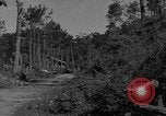 Image soldats des États-Unis Baguio aux Philippines, 1945, de la seconde 43 séquences d'archives historiques vidéo 65675045278