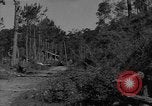 Image soldats des États-Unis Baguio aux Philippines, 1945, de la seconde 44 séquences d'archives historiques vidéo 65675045278