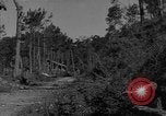 Image soldats des États-Unis Baguio aux Philippines, 1945, de la seconde 46 séquences d'archives historiques vidéo 65675045278