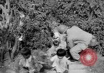 Standbild USA Soldaten Baguio Philippinen, 1945, aus Sekunde 6 historischem Filmmaterial Videoclip 65675045280