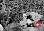 Standbild USA Soldaten Baguio Philippinen, 1945, aus Sekunde 8 historischem Filmmaterial Videoclip 65675045280