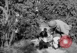 Standbild USA Soldaten Baguio Philippinen, 1945, aus Sekunde 10 historischem Filmmaterial Videoclip 65675045280