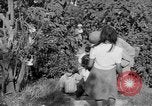 Standbild USA Soldaten Baguio Philippinen, 1945, aus Sekunde 12 historischem Filmmaterial Videoclip 65675045280