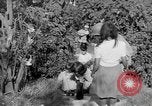 Standbild USA Soldaten Baguio Philippinen, 1945, aus Sekunde 13 historischem Filmmaterial Videoclip 65675045280