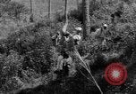 Standbild USA Soldaten Baguio Philippinen, 1945, aus Sekunde 57 historischem Filmmaterial Videoclip 65675045280
