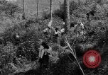 Standbild USA Soldaten Baguio Philippinen, 1945, aus Sekunde 58 historischem Filmmaterial Videoclip 65675045280