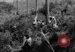 Standbild USA Soldaten Baguio Philippinen, 1945, aus Sekunde 59 historischem Filmmaterial Videoclip 65675045280