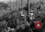 Standbild USA Soldaten Baguio Philippinen, 1945, aus Sekunde 60 historischem Filmmaterial Videoclip 65675045280
