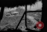 Image of United States troops Philippines, 1945, second 5 stock footage video 65675045292