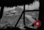 Image of United States troops Philippines, 1945, second 12 stock footage video 65675045292