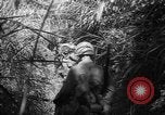 Image of United States troops Philippines, 1945, second 32 stock footage video 65675045292