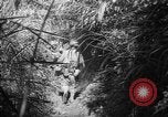 Image of United States troops Philippines, 1945, second 35 stock footage video 65675045292