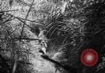 Image of United States troops Philippines, 1945, second 37 stock footage video 65675045292