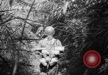 Image of United States troops Philippines, 1945, second 40 stock footage video 65675045292