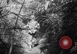Image of United States troops Philippines, 1945, second 42 stock footage video 65675045292