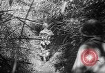 Image of United States troops Philippines, 1945, second 43 stock footage video 65675045292