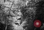 Image of United States troops Philippines, 1945, second 48 stock footage video 65675045292